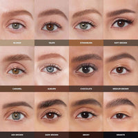 ANASTASIA BEVERLY HILLS BROW WIZ
