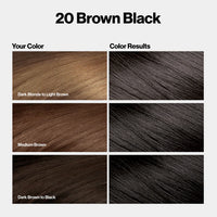 Revlon Color Silk Beautiful Hair Color 20 Brown Black