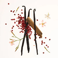PHLUR Vanilla Skin Body&Hair fragrance mist