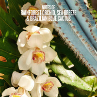 Sol de Janeiro Refresco Paraíso Hair & Body Perfume Mist