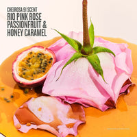SOL DE JANEIRO ROSA CHARMOSA™ DEWY CREAM