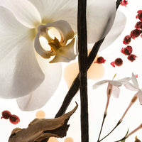 PHLUR Vanilla Skin Eau de Parfum