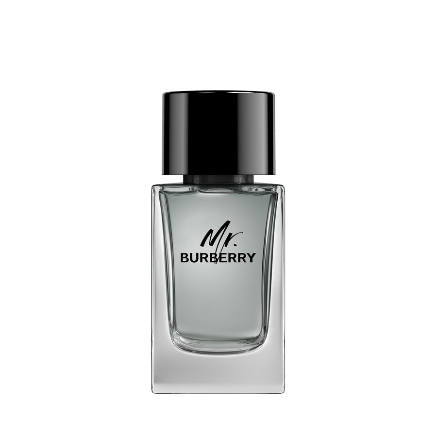 Mr Burberry Eau de Toilette 100ml