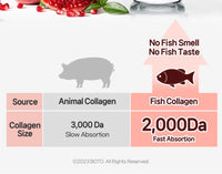 BOTO Pomegranate Concentrate with Collagen (Per sachet)