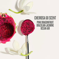 Sol de Janeiro Beija Flor Elasti-Cream and Body Wash Duo
