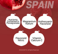BOTO Pomegranate Concentrate with Collagen (Per sachet)