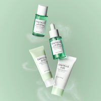 Skin 1004 Madagascar Centella Tea-Trica Travel Kit