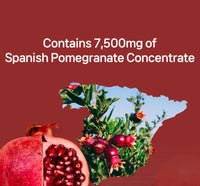 BOTO Pomegranate Concentrate with Collagen (Per sachet)