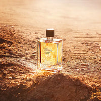 TERRE D'HERMES EAU INTENSE VETIVER EAU DE PARFUM