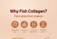 BOTO Pomegranate Concentrate with Collagen (Per sachet)