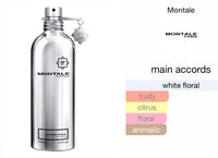 Montale Paris JASMIN FULL EDP