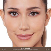 ANASTASIA BEVERLY HILLS BROW WIZ