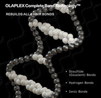 OLAPLEX PRO EXCLUSIVE: TRAVELING STYLIST KIT