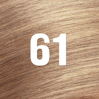 Revlon Color Silk Beautiful Hair Color 61 Dark Blonde