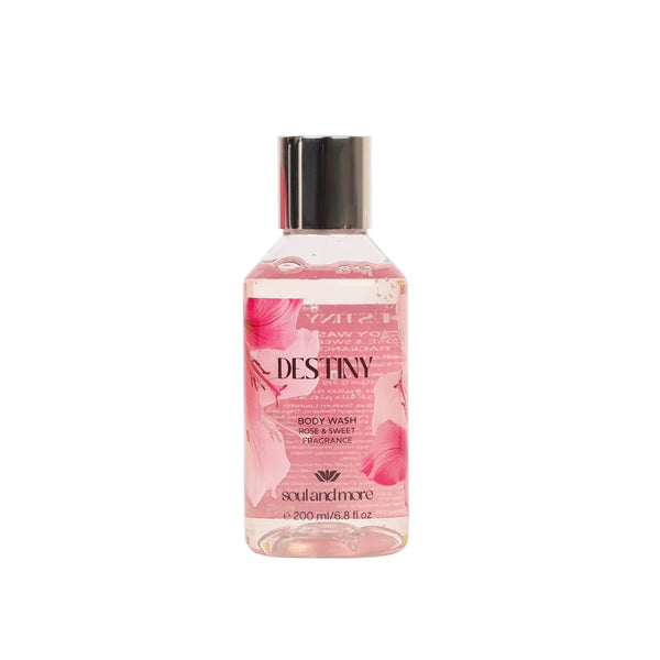 Soul and more Destiny Showergel