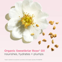 Clarins Hydrating Peptide Lip Oil Balm