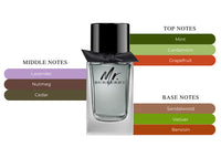 Mr Burberry Eau de Toilette 100ml